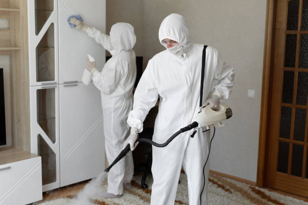 Best Industrial Mold Remediation in Hooks, TX