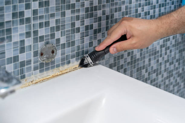 Best Black Mold Remediation in Hooks, TX