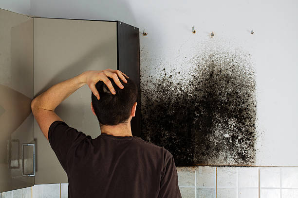 Hooks, TX Mold Removal Pros